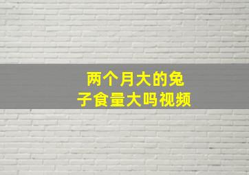 两个月大的兔子食量大吗视频