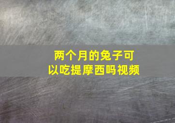 两个月的兔子可以吃提摩西吗视频