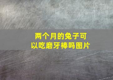 两个月的兔子可以吃磨牙棒吗图片