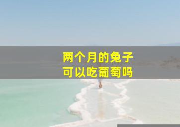 两个月的兔子可以吃葡萄吗