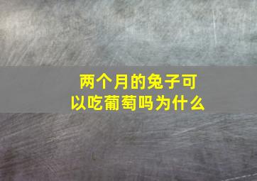 两个月的兔子可以吃葡萄吗为什么