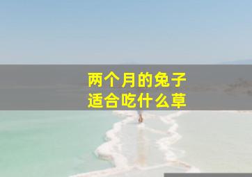 两个月的兔子适合吃什么草