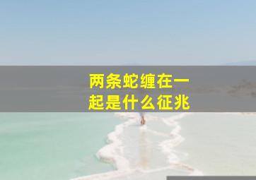 两条蛇缠在一起是什么征兆