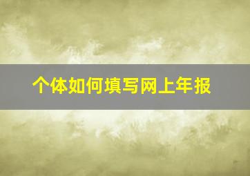 个体如何填写网上年报