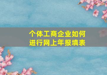 个体工商企业如何进行网上年报填表