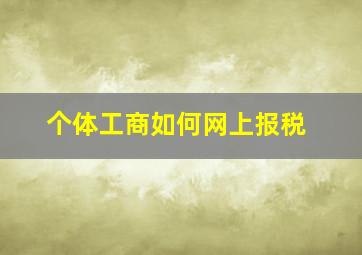 个体工商如何网上报税