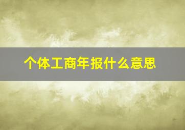 个体工商年报什么意思