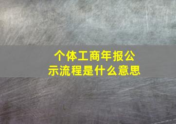 个体工商年报公示流程是什么意思