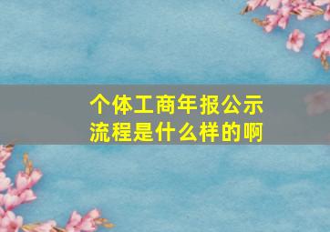 个体工商年报公示流程是什么样的啊