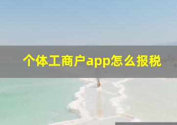 个体工商户app怎么报税