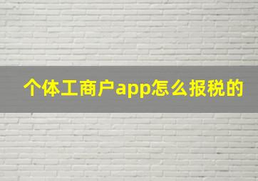 个体工商户app怎么报税的