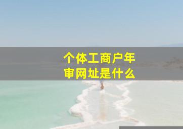 个体工商户年审网址是什么