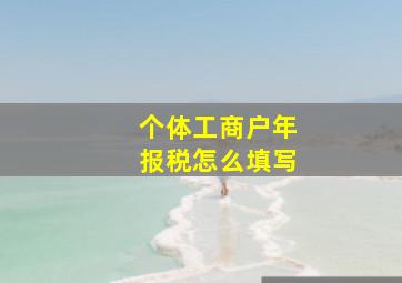 个体工商户年报税怎么填写