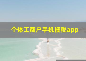 个体工商户手机报税app