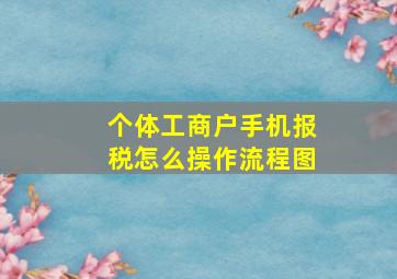 个体工商户手机报税怎么操作流程图