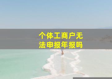 个体工商户无法申报年报吗