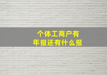 个体工商户有年报还有什么报