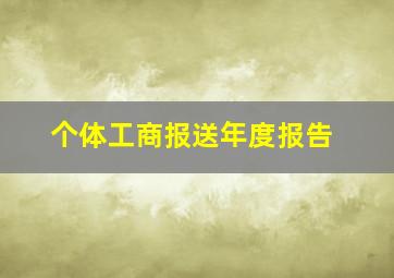 个体工商报送年度报告