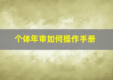 个体年审如何操作手册