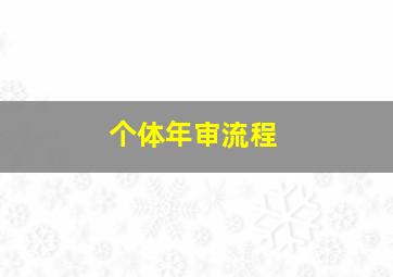 个体年审流程