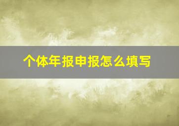 个体年报申报怎么填写