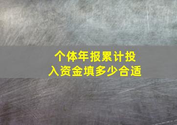 个体年报累计投入资金填多少合适