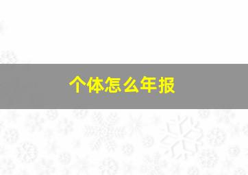 个体怎么年报