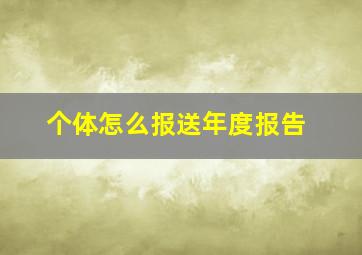 个体怎么报送年度报告