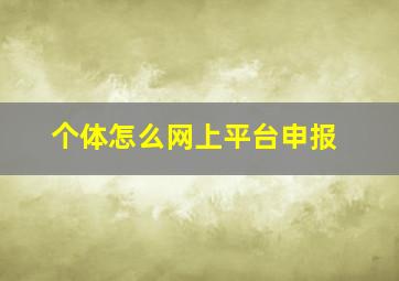 个体怎么网上平台申报