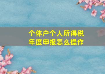 个体户个人所得税年度申报怎么操作