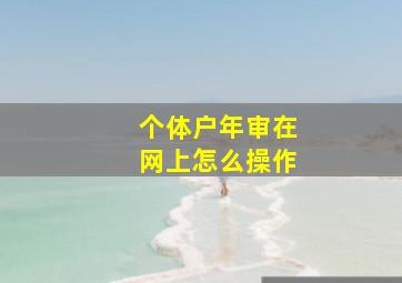 个体户年审在网上怎么操作