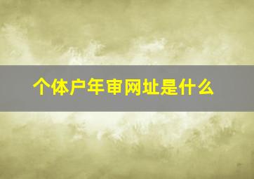 个体户年审网址是什么