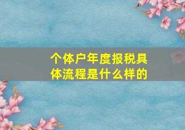 个体户年度报税具体流程是什么样的