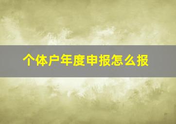 个体户年度申报怎么报