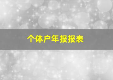 个体户年报报表