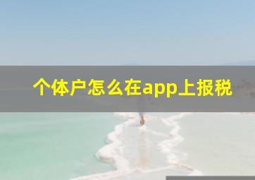 个体户怎么在app上报税