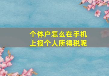 个体户怎么在手机上报个人所得税呢