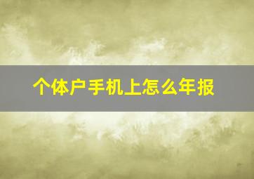 个体户手机上怎么年报