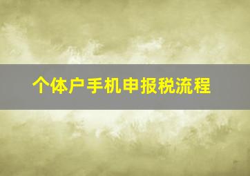 个体户手机申报税流程