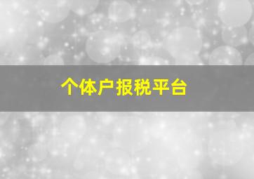 个体户报税平台