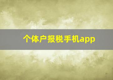 个体户报税手机app