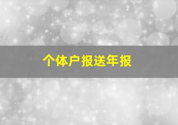 个体户报送年报