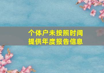 个体户未按照时间提供年度报告信息