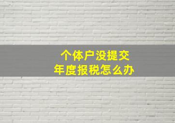 个体户没提交年度报税怎么办