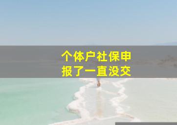 个体户社保申报了一直没交