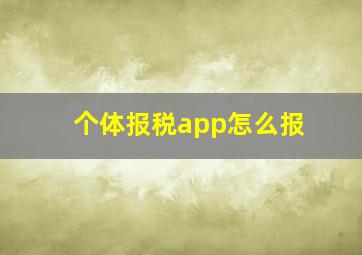 个体报税app怎么报