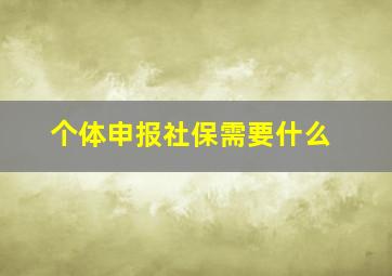 个体申报社保需要什么