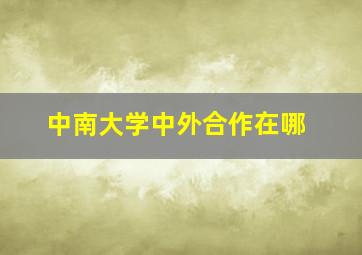 中南大学中外合作在哪