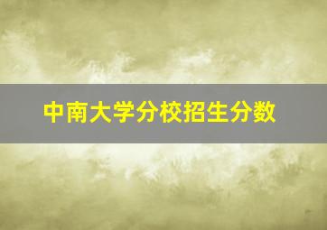 中南大学分校招生分数