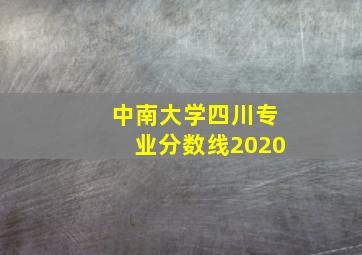 中南大学四川专业分数线2020